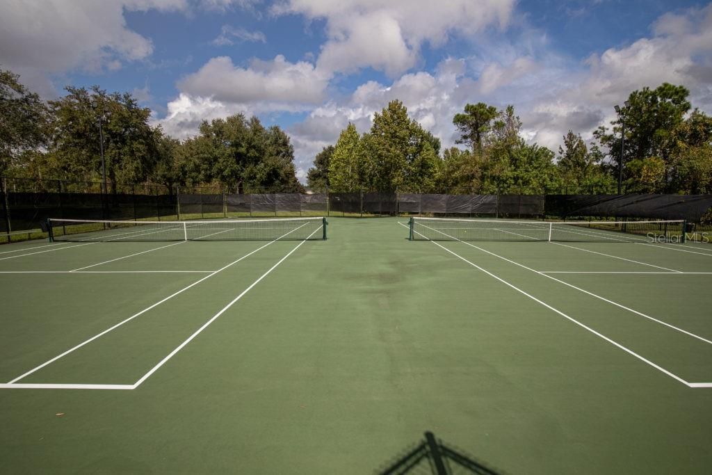 3405 Heirloom Rose Place , Oviedo, FL 32766 Photo