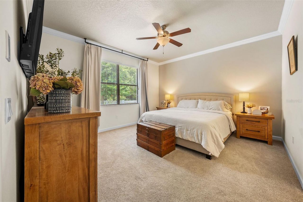 12219 Crestridge Loop, New Port Richey, FL 34655 Photo