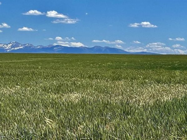 TBD Road Z, Lewis, CO 81327