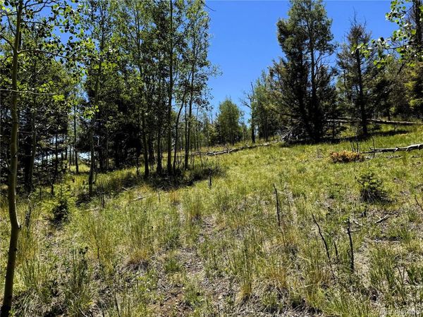 144 Kaufman Court , Hartsel, CO 80449