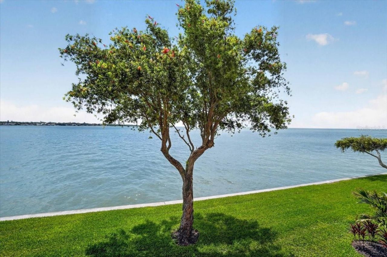 7400 Sunshine Skyway Lane S, Unit 126, Saint Petersburg, FL 33711 Photo