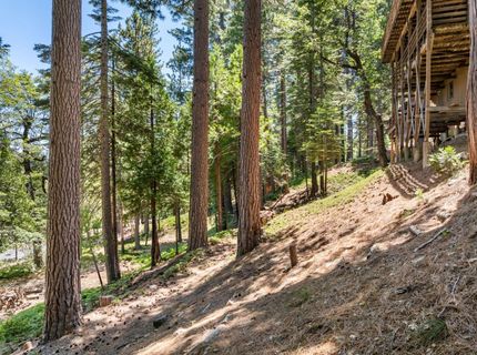 2594 Navajo, Dorrington, CA 95223 Photo