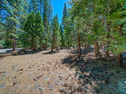 1 Huchnom Trail, Graeagle, CA 96103 Photo