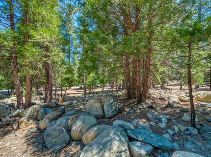 1 Huchnom Trail, Graeagle, CA 96103 Photo