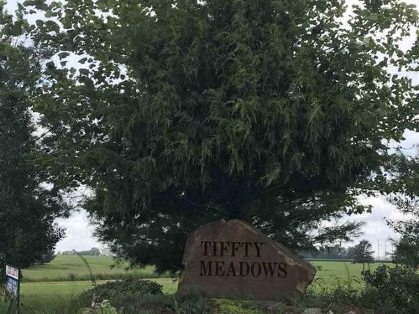 Lot 4 DOVE Lane, Eldorado, IL 62930