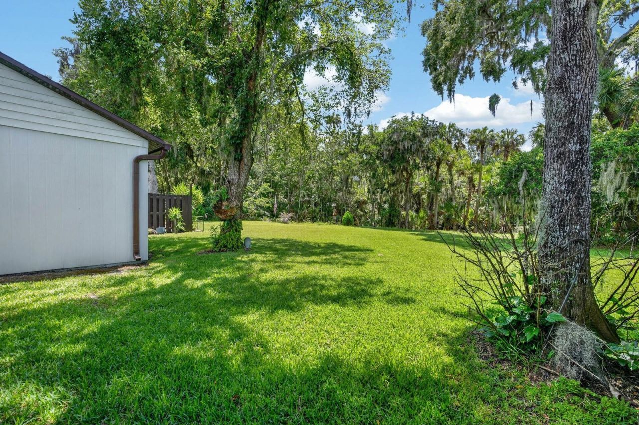 357 Castlewood Lane, New Smyrna Beach, FL 32168 Photo