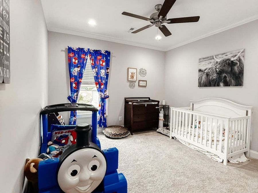 Property Image 38