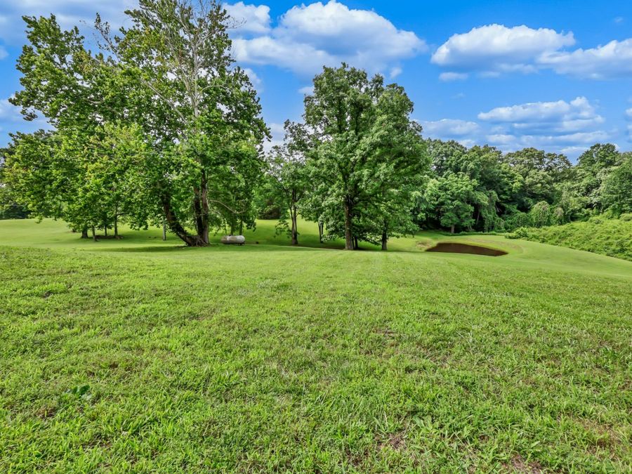 Property Image 58
