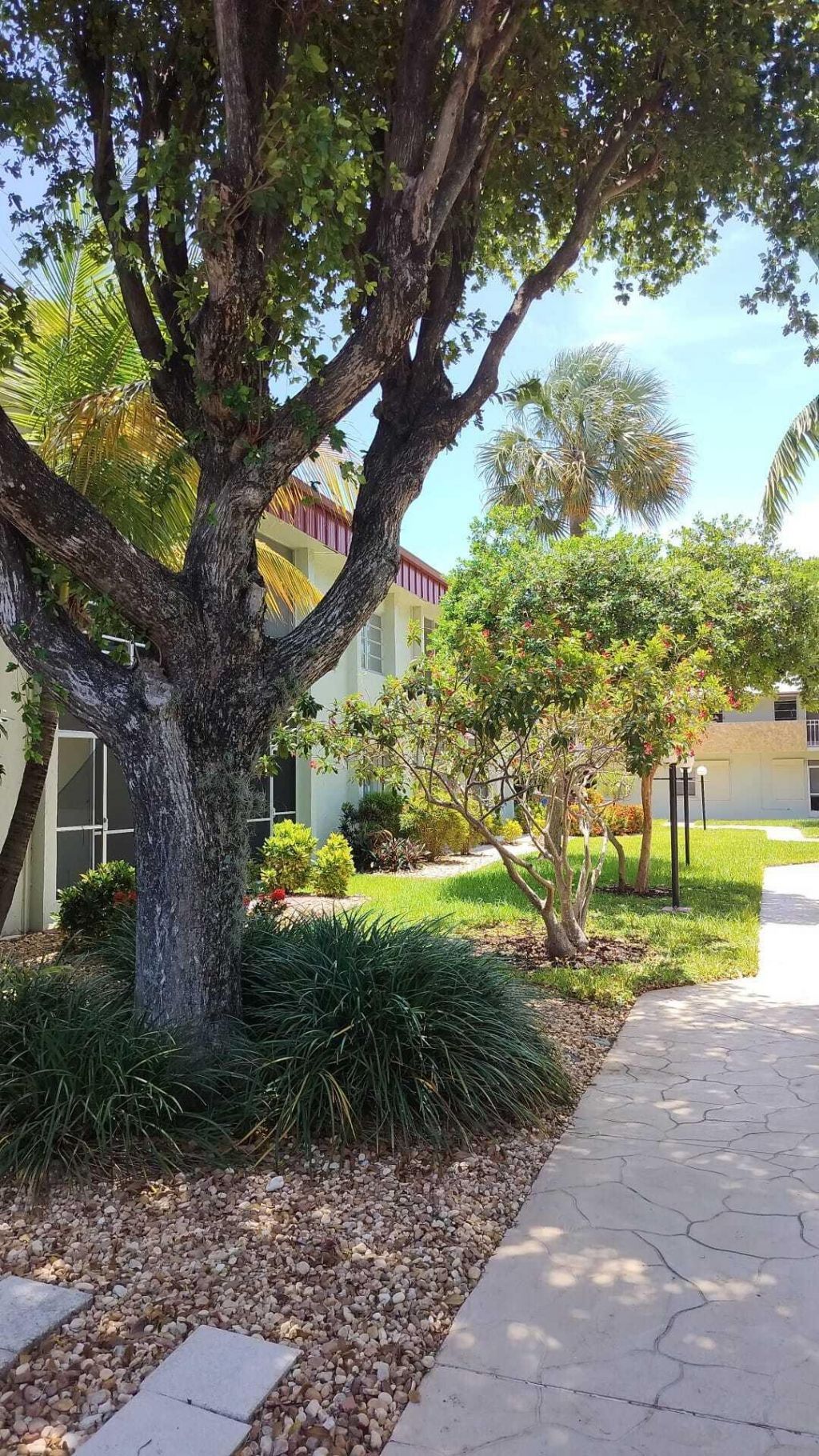 860 SE 6th Avenue, Unit 212, Deerfield Beach, FL 33441 Photo