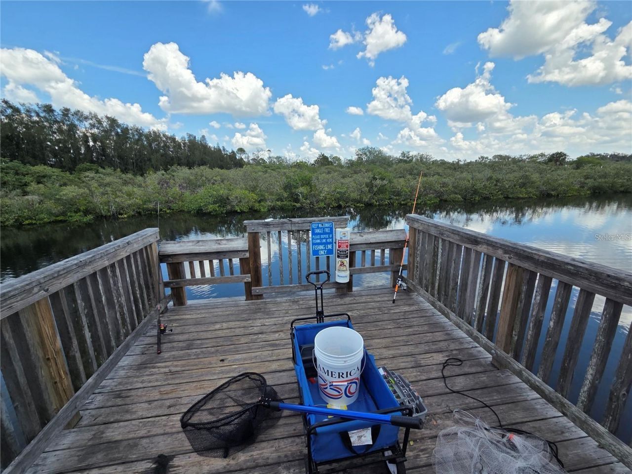4645 Irene Loop , New Port Richey, FL 34652 Photo