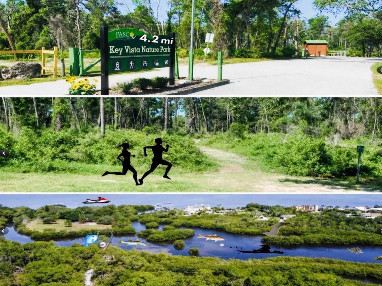 4645 Irene Loop , New Port Richey, FL 34652 Photo