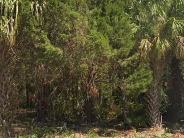 4030 S KINGS AVENUE , HOMOSASSA, FL 34446
