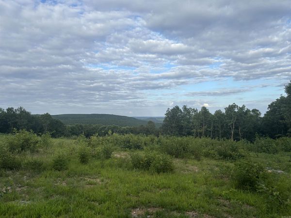 2095 Dry Mountain Road , Drasco, AR 72530