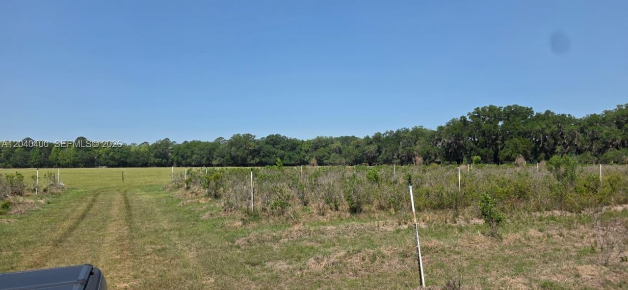 Xx SE 225th Dr , Hawthorne, FL 32640 Photo