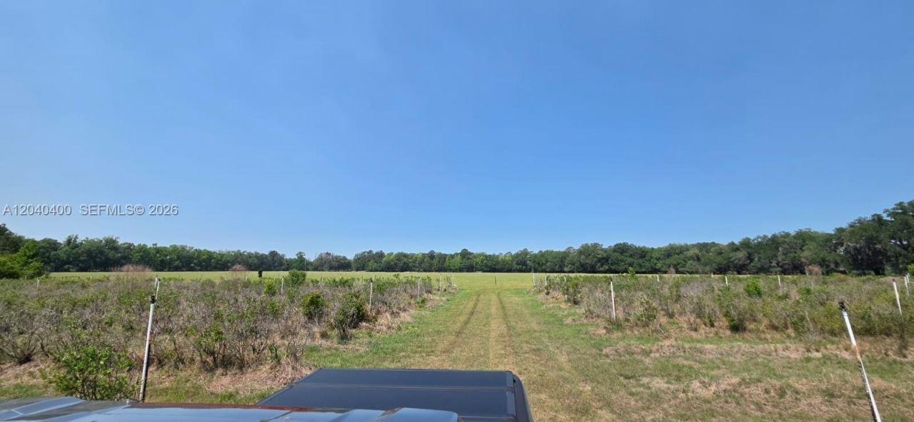 Xx SE 225th Dr , Hawthorne, FL 32640 Photo