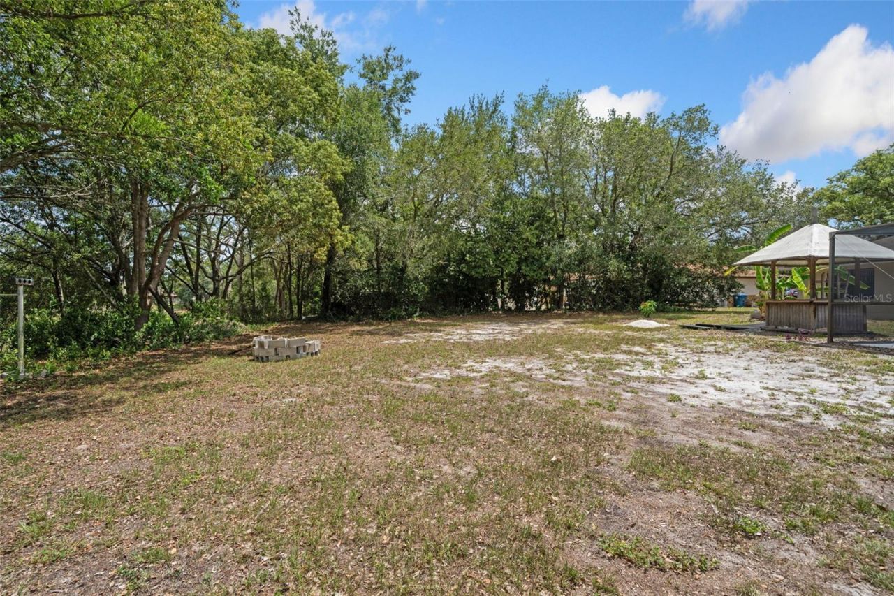 1479 Autumn Road, Spring Hill, FL 34608 Photo