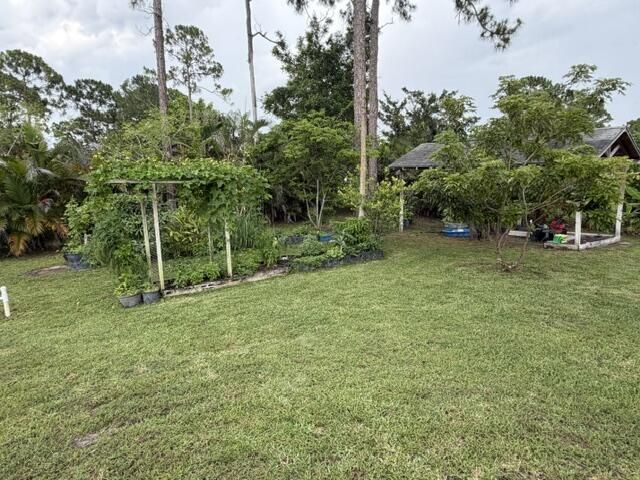 16304 Orange Boulevard, The Acreage, FL 33470 Photo