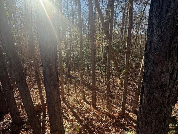 0 Liledoun Road , Taylorsville, NC 28681