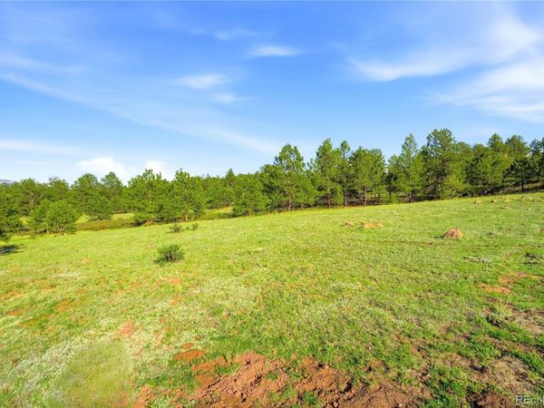 Doe Valley Road , Guffey, CO 80820