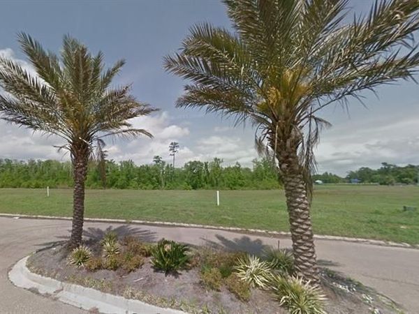 21555 YELLOWFIN Drive , Springfield, LA 70462