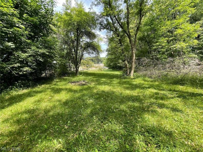 Massillon Road, Akron, OH 44312 Photo 6