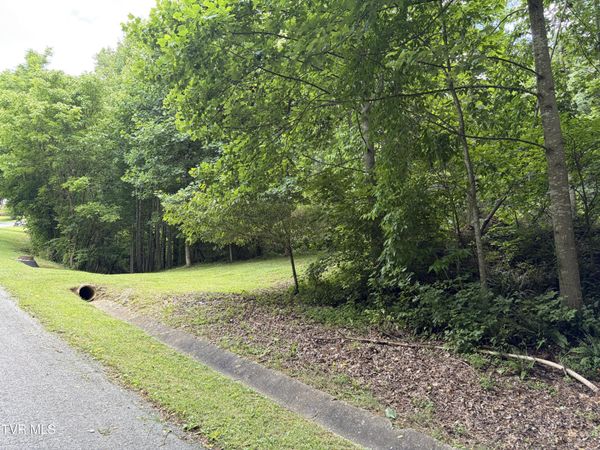 Tbd Woodhurst Street, Weber City, VA 24290