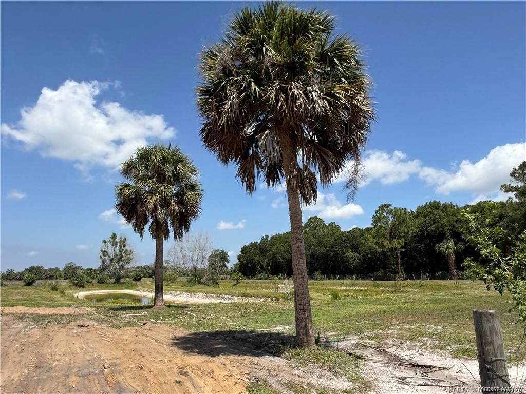 8200 SW Springhaven Avenue, Indiantown, FL 34956 Photo