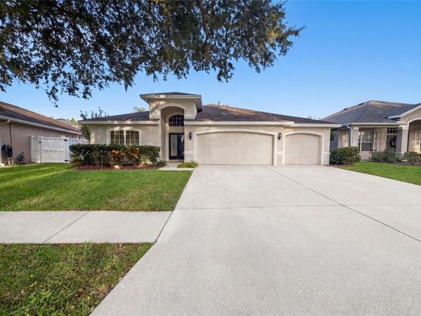 19606 MORDEN BLUSH DRIVE , LUTZ, FL 33558