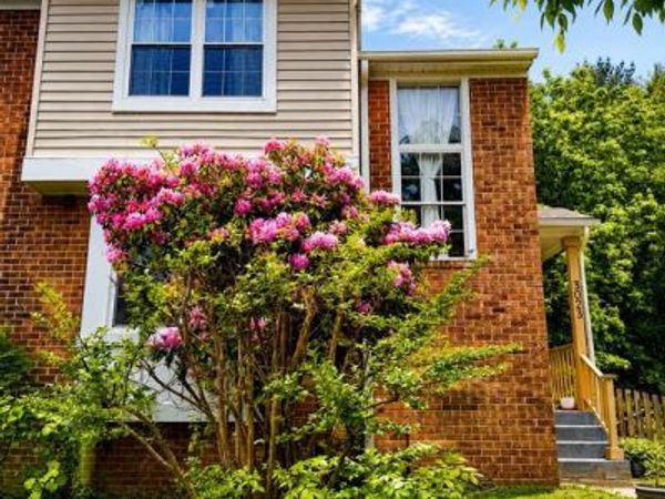 3023 N BRANCH LANE, PARKVILLE, MD 21234