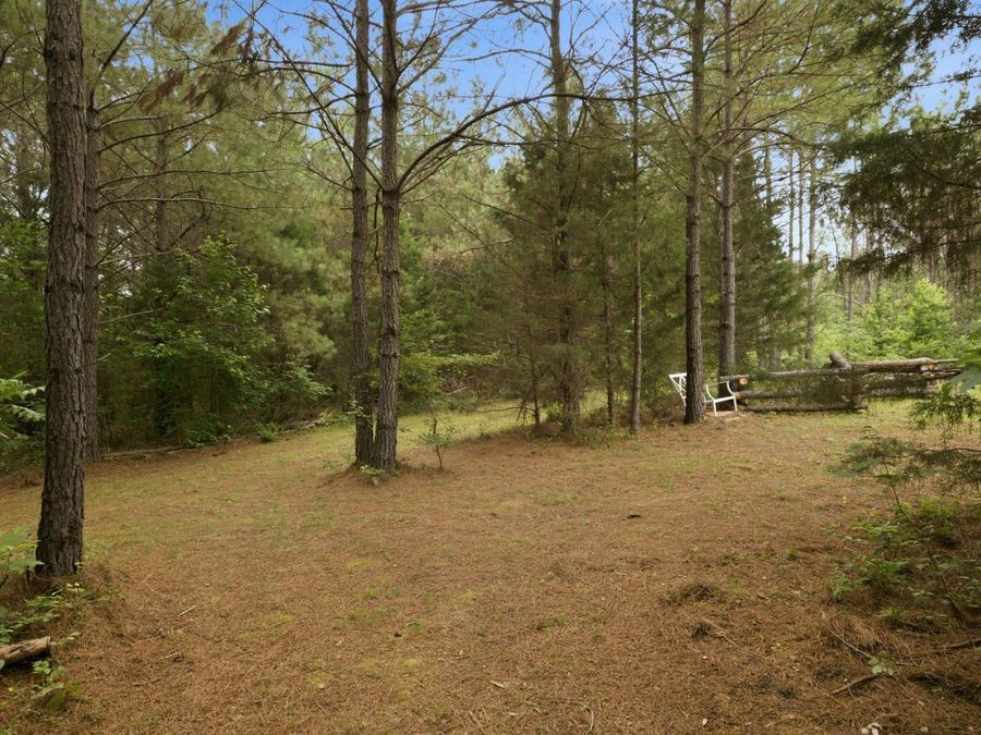 Property Image 40