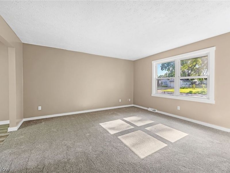 8995 Spring Drive, Windham, OH 44288 Photo 10