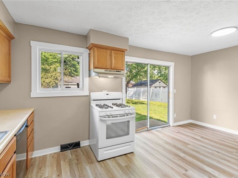 8995 Spring Drive, Windham, OH 44288 Photo 16