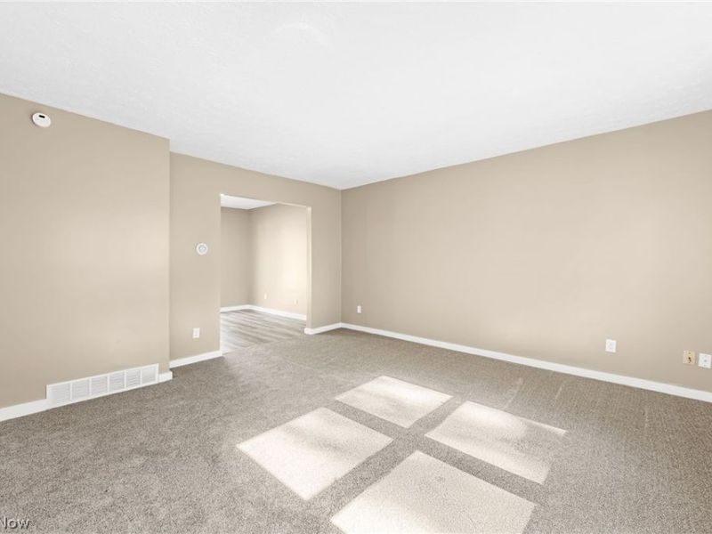 8995 Spring Drive, Windham, OH 44288 Photo 7