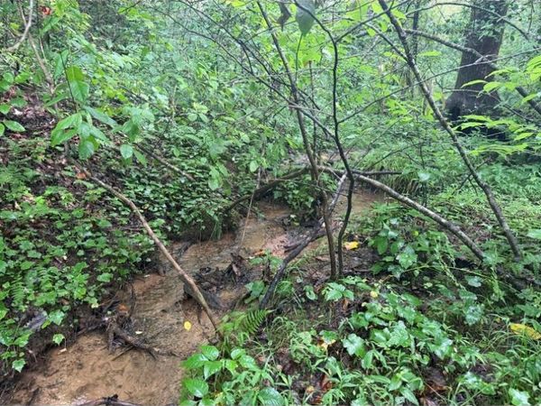 4.1 Ac Charlotte Mountain Road, Ellijay, GA 30540