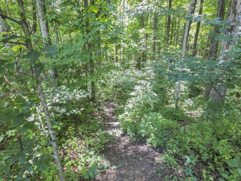 18750 Griffith Road, Logan, OH 43138 Photo 31