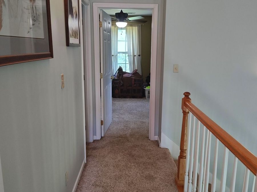 Property Image 54