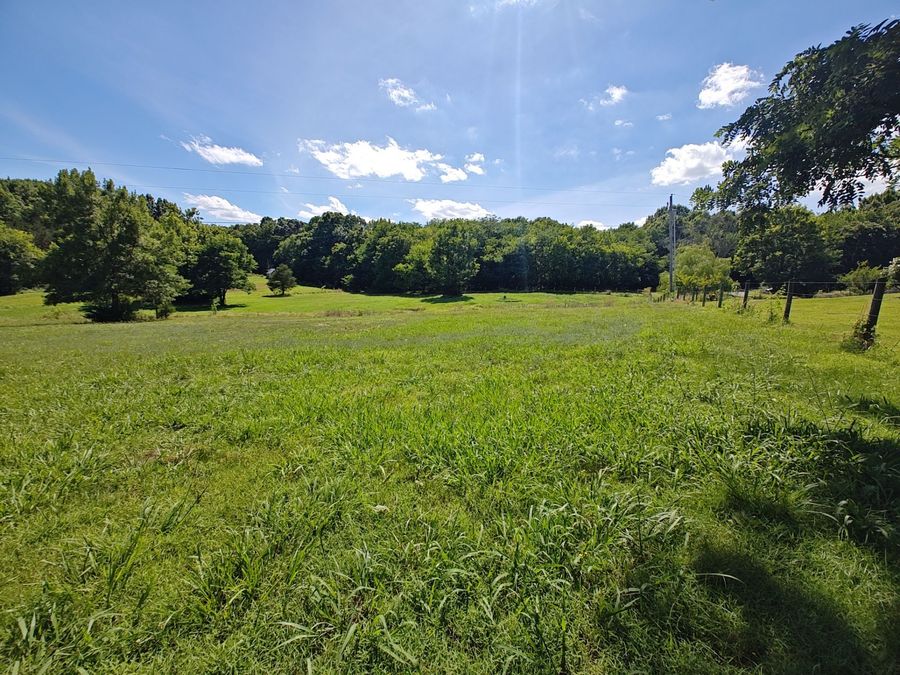 Property Image 78