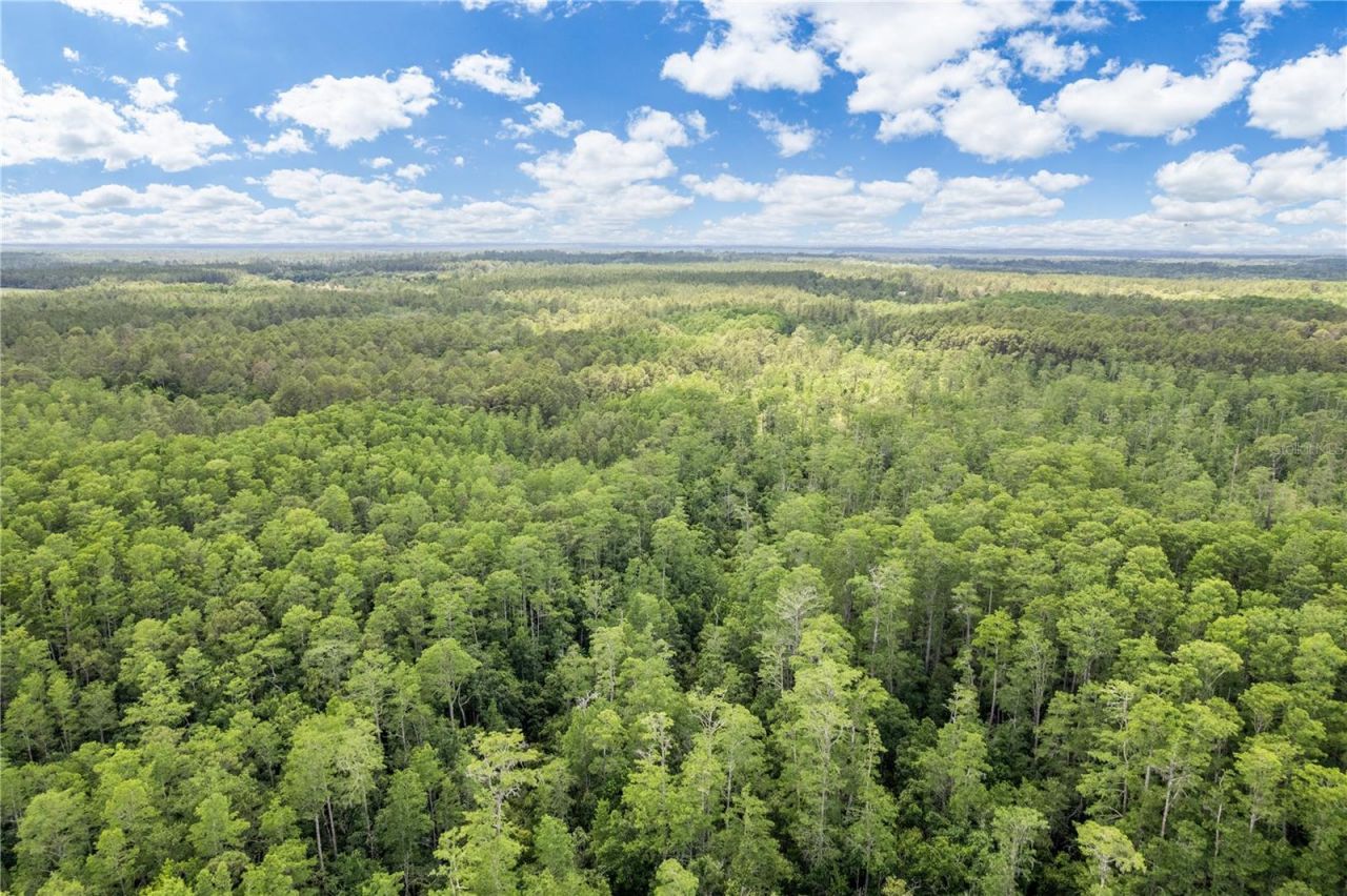 2362 NE County Road 1469 , Hawthorne, FL 32640 Photo