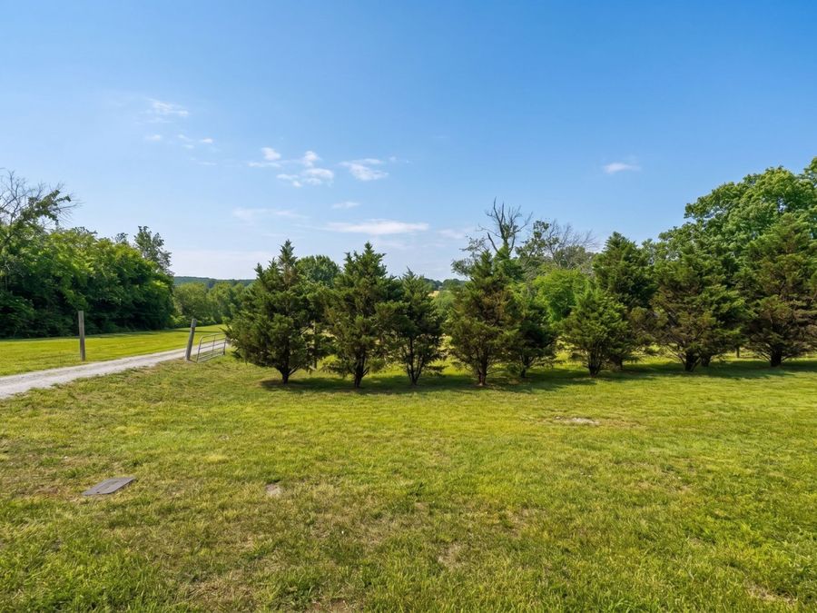 Property Image 52