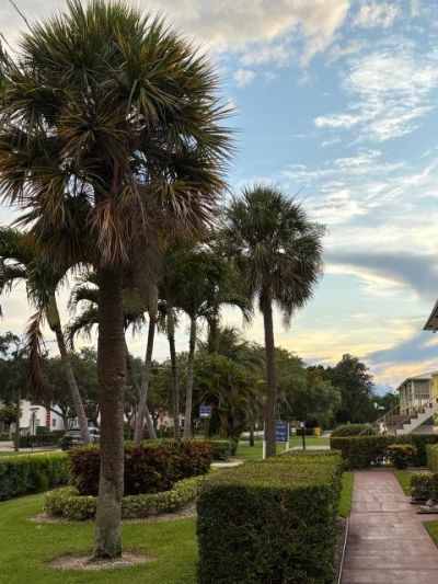 50 Plymouth, West Palm Beach, FL 33417 Photo