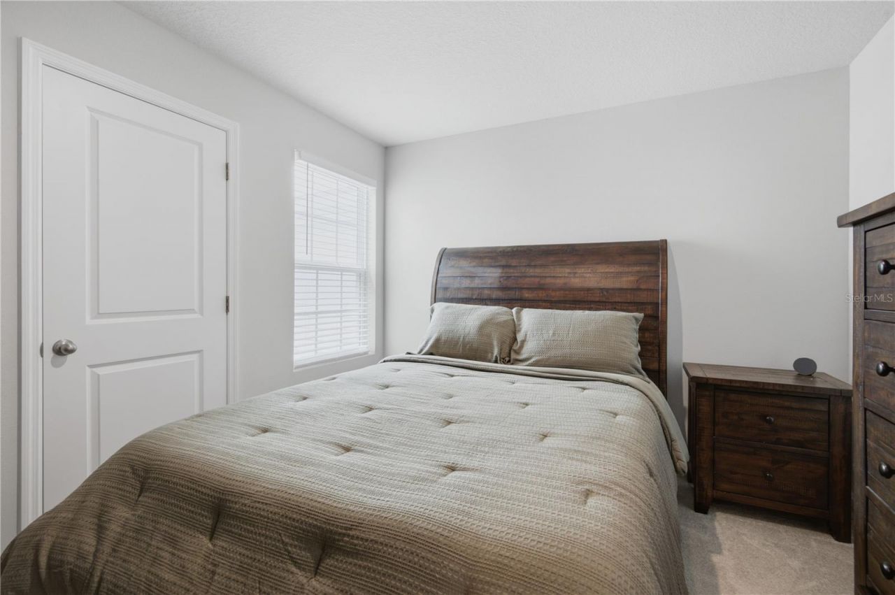 12126 Grizzly Lane , New Port Richey, FL 34654 Photo
