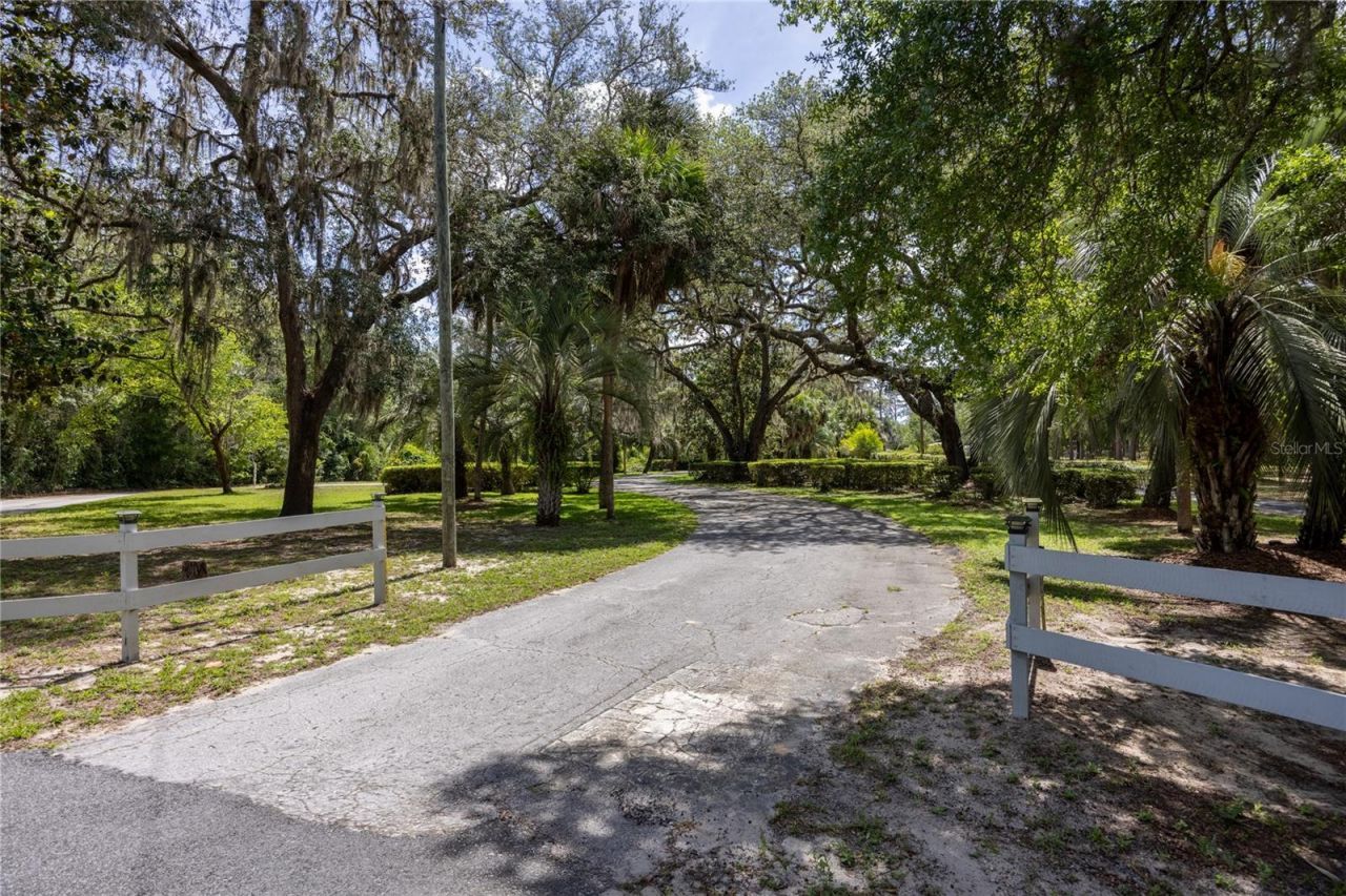 3933 SE State Road 21, Keystone Heights, FL 32656 Photo