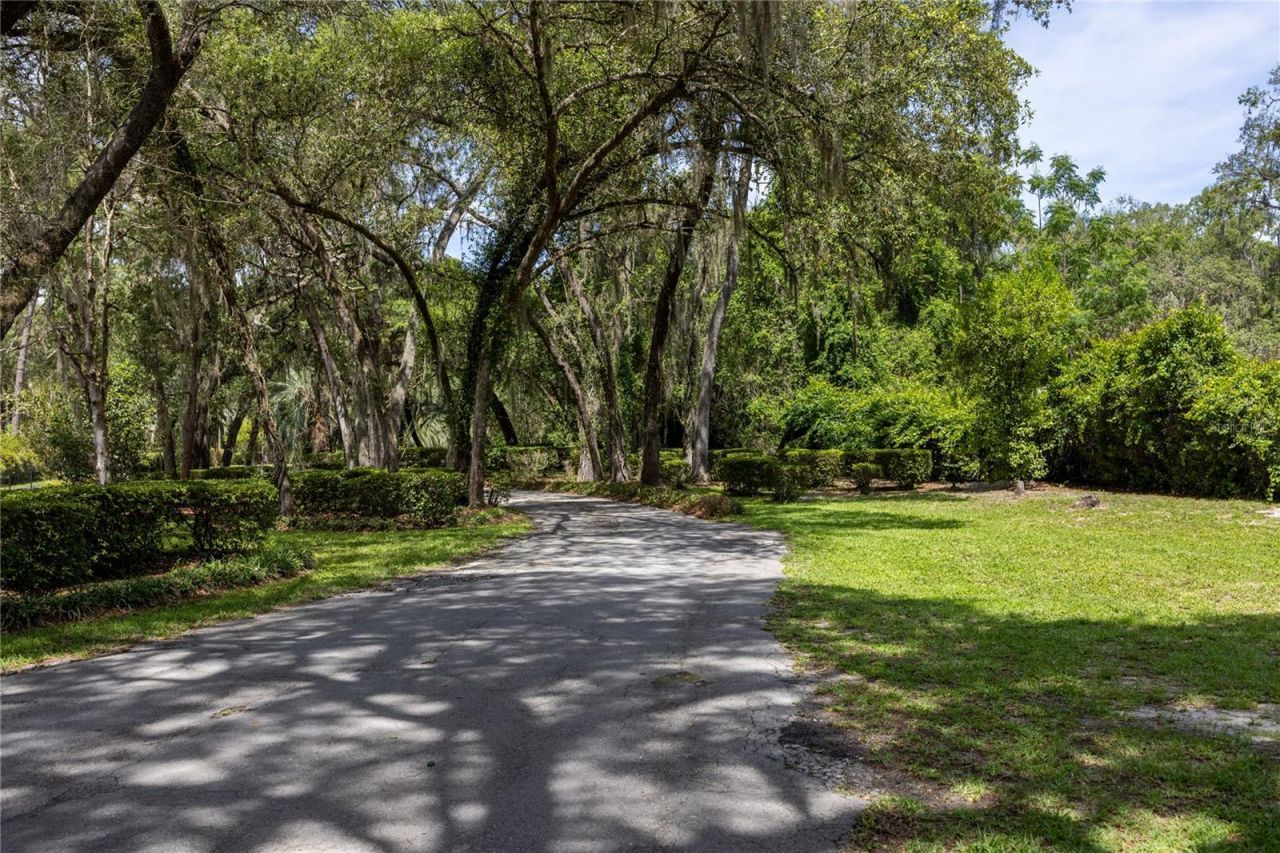 3933 SE State Road 21, Keystone Heights, FL 32656 Photo