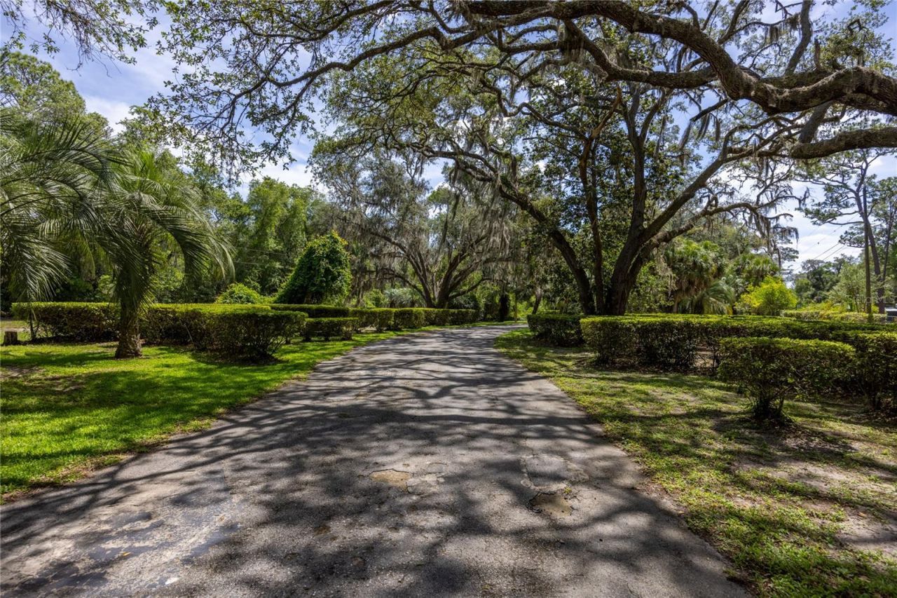 3933 SE State Road 21, Keystone Heights, FL 32656 Photo