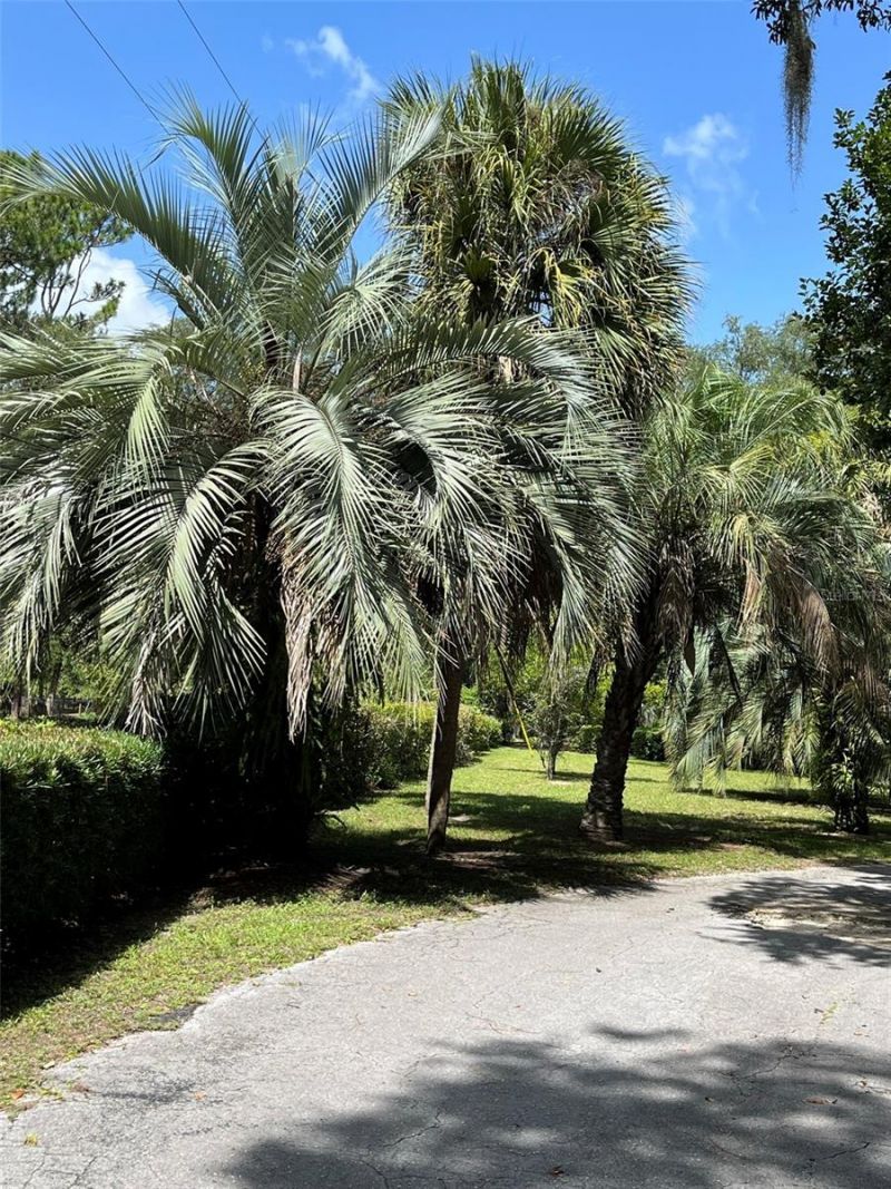 3933 SE State Road 21, Keystone Heights, FL 32656 Photo