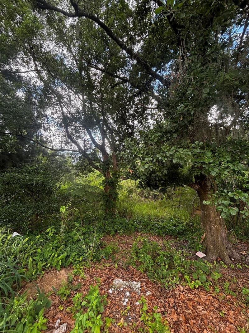 Lee Street , Bowling Green, FL 33834 Photo