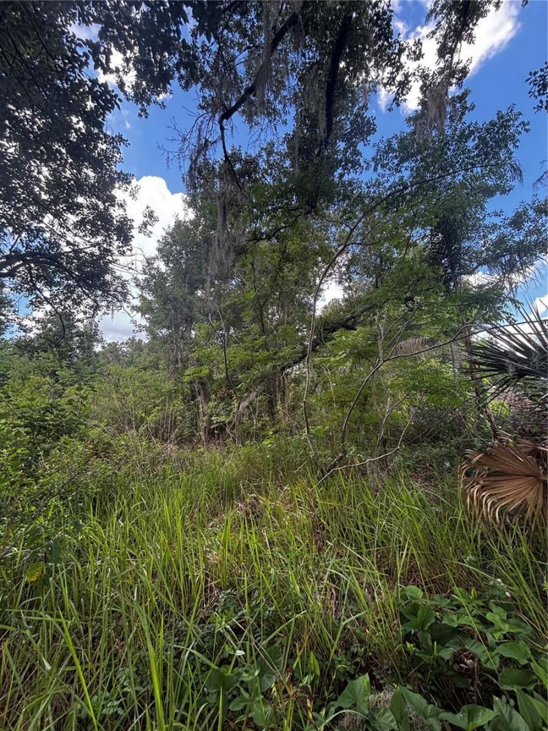 Lee Street , Bowling Green, FL 33834 Photo