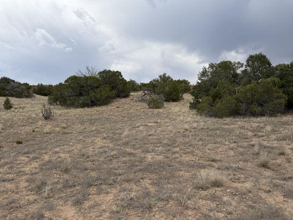 Lot 24 Stagecoach Trail , Sandia Park, NM 87047