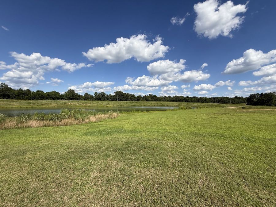 Property Image 62