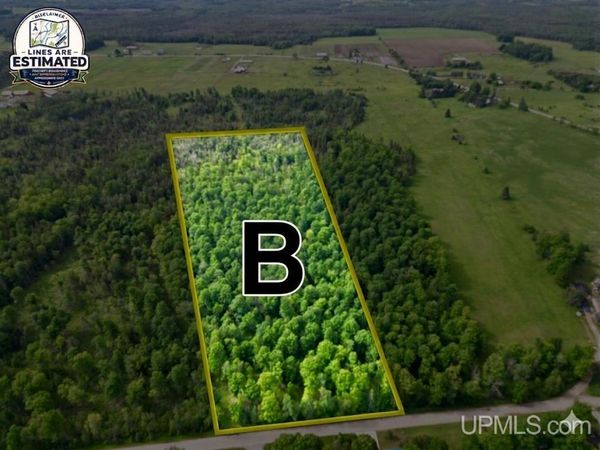 TBD River J.5 Parcel B Lane, Cornell Twp, MI 49818